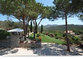 Villa Capitorsola: the garden - Island of Elba