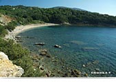 Island of Elba: beach of Barabarca