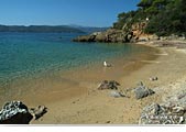 Island of Elba: beach of Zuccale
